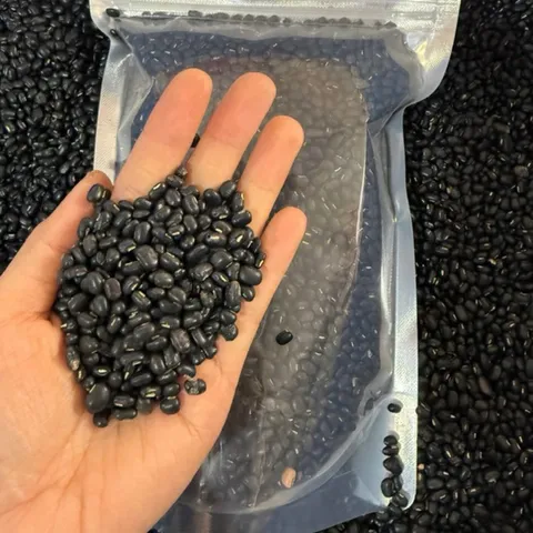 1Kg Đậu Đen Xanh Lòng Rang Sẵn/ Hạt Sống – Đậu Đen Quê Nấu Nước Uống, Nấu Chè, Làm Sữa Hạt Thơm Bùi