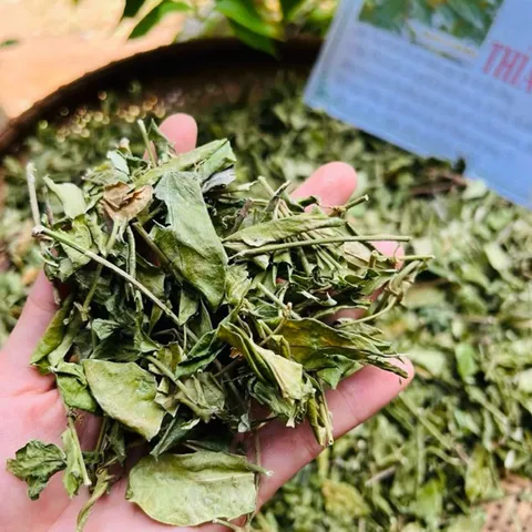 1Kg Túi Lọc Dây Thìa Canh Hoà Bình (Sao Vàng Hạ Thổ) Hỗ Trợ Ổn Định Đường Huyết, Hỗ Trợ Mỡ Máu, Lợi Tiểu