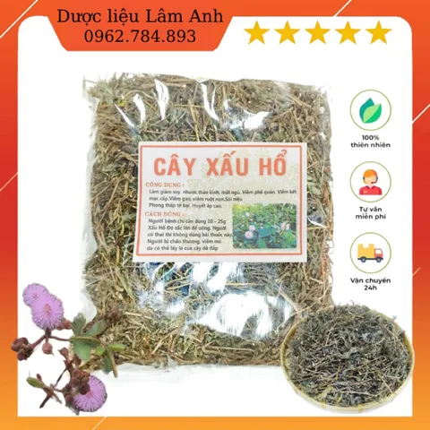 1Kg Cây Xấu Hổ Tím ( Cây Mắc Cỡ) Sao vàng hạ thổ, khô thơm, giúp ngủ ngon, lợi tiểu, giảm đau nhức xương khớp