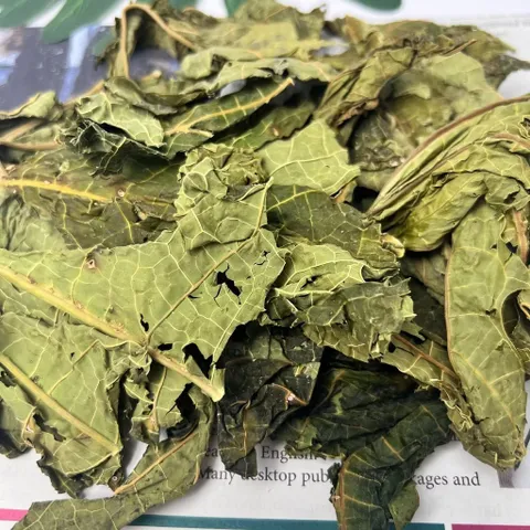 1 Kg Lá Đu Đủ, Sao vàng hạ thổ, Loại 1 Khô thơm vụ mới