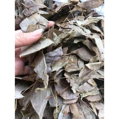 1Kg Dâm Dương Hoắc (Sao vàng hạ thổ, khô thơm)