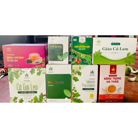 Trà túi lọc Xạ đen Hoà Bình đạt chuẩn GMP-WHO (20 gói x 3gr)