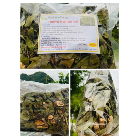 1Kg Cây Thành Ngạnh- Cây Đỏ Ngọn chuẩn
