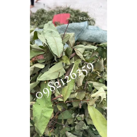 1Kg Cây Thành Ngạnh- Cây Đỏ Ngọn chuẩn