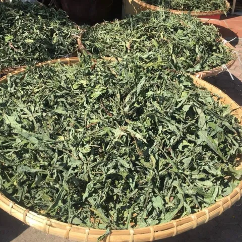 1Kg Bồ Công Anh (Sao Vàng Hạ Thổ, Khô, Thơm) Thanh Lọc Cơ Thể, Mát Gan, Hỗ Trợ Lợi Sữa, Tắc Tia Sữa, Thanh Nhiệt