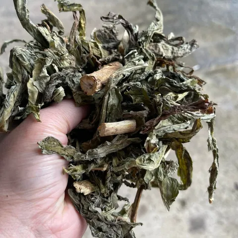 1Kg Bồ Công Anh (Sao Vàng Hạ Thổ, Khô, Thơm) Thanh Lọc Cơ Thể, Mát Gan, Hỗ Trợ Lợi Sữa, Tắc Tia Sữa, Thanh Nhiệt