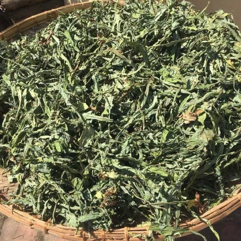 1Kg Bồ Công Anh (Sao Vàng Hạ Thổ, Khô, Thơm) Thanh Lọc Cơ Thể, Mát Gan, Hỗ Trợ Lợi Sữa, Tắc Tia Sữa, Thanh Nhiệt