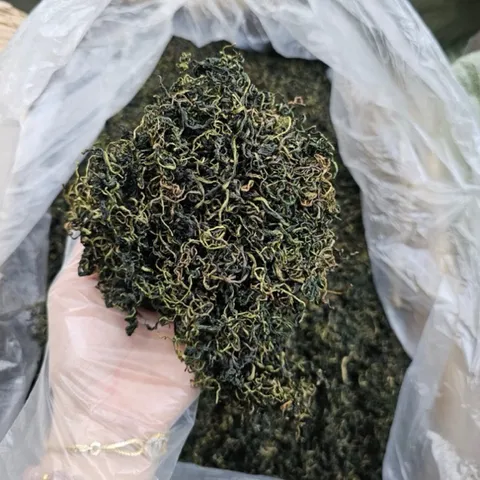 1Kg Bồ Công Anh (Sao Vàng Hạ Thổ, Khô, Thơm) Thanh Lọc Cơ Thể, Mát Gan, Hỗ Trợ Lợi Sữa, Tắc Tia Sữa, Thanh Nhiệt