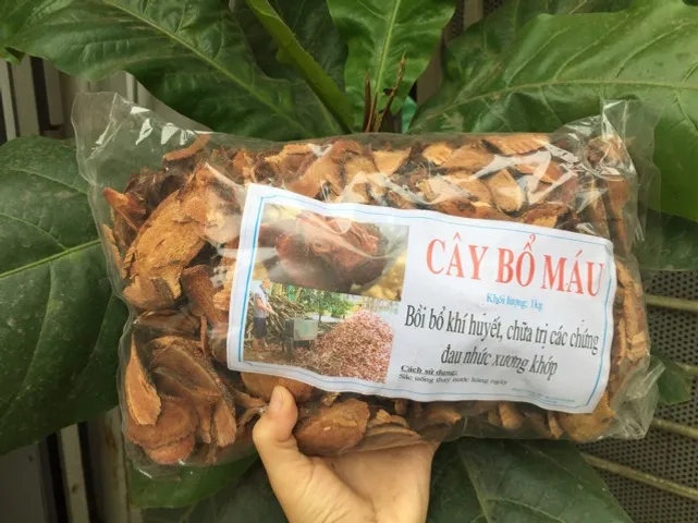 1kg cây bổ máu tăng cân (huyết đằng)