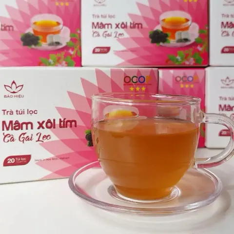 Trà Túi Lọc Mâm Xôi Tím Cà Gai Leo BẢO HIỆU – Trà Thảo Mộc Thiên Nhiên, Dễ Uống, Thanh Lọc, Giải Nhiệt, Đẹp Da, Đẹp Dáng