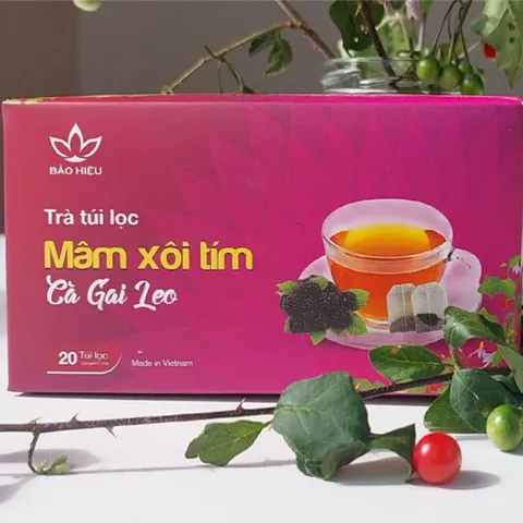 Trà Túi Lọc Mâm Xôi Tím Cà Gai Leo BẢO HIỆU – Trà Thảo Mộc Thiên Nhiên, Dễ Uống, Thanh Lọc, Giải Nhiệt, Đẹp Da, Đẹp Dáng