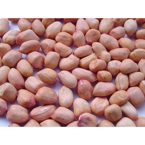 1Kg Lạc Trắng bóc tay (đậu phộng trắng sống)