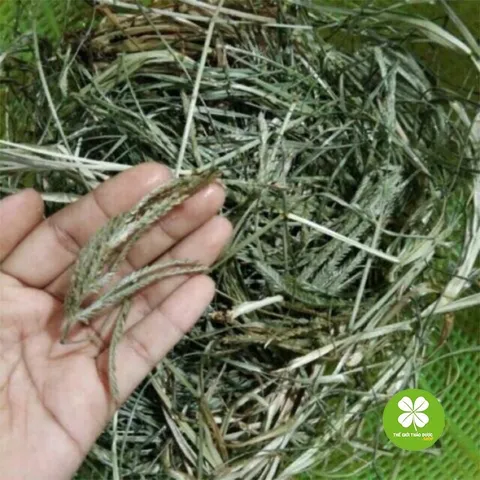 1Kg Cỏ mần trầu khô