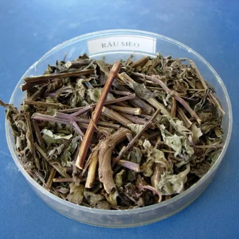 1Kg Râu Mèo (Sao Vàng Hạ Thổ, Khô, Thơm) Hỗ Trợ Lợi Tiểu, Thanh Nhiệt, Giảm Nóng Trong, Pha Trà Uống Hằng Ngày