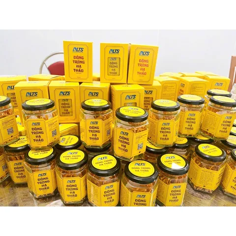 Nấm Đông trùng Hạ thảo Trường Sơn sấy Thăng Hoa hộp 10gr