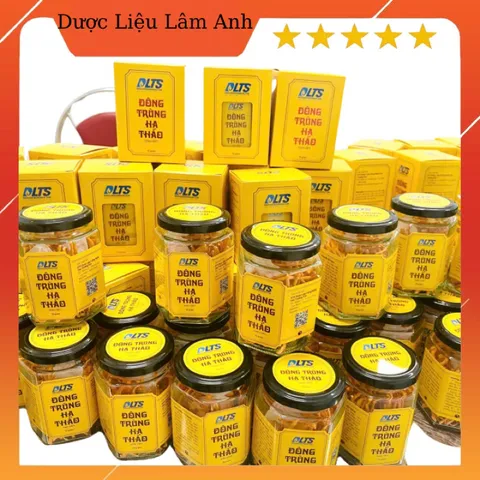 Nấm Đông trùng Hạ thảo Trường Sơn sấy Thăng Hoa hộp 10gr