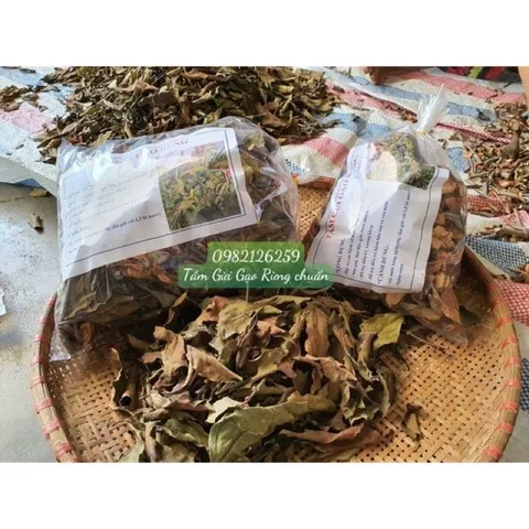 Tầm Gửi Gạo Tía Chuẩn Xịn