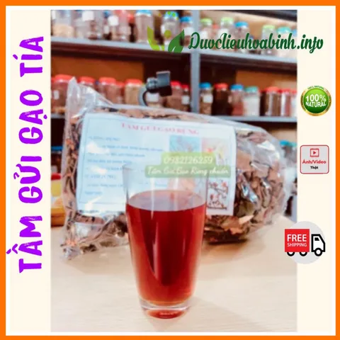 Tầm Gửi Gạo Tía Chuẩn Xịn