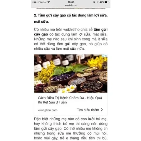 Tầm Gửi Gạo Tía Chuẩn Xịn