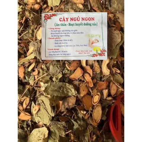 1Kg Lá nam Mất ngủ (Sao vàng hạ thổ, khô, thơm) giúp ngủ ngon sâu giấc, hoạt huyết, đau nửa đầu, ăn ngon miệng