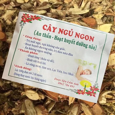 1Kg Lá nam Mất ngủ (Sao vàng hạ thổ, khô, thơm) giúp ngủ ngon sâu giấc, hoạt huyết, đau nửa đầu, ăn ngon miệng