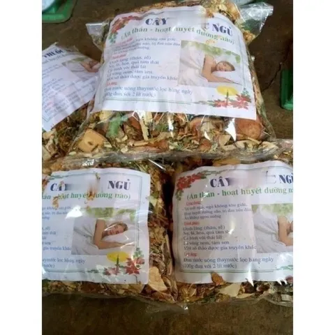 1Kg Lá nam Mất ngủ (Sao vàng hạ thổ, khô, thơm) giúp ngủ ngon sâu giấc, hoạt huyết, đau nửa đầu, ăn ngon miệng