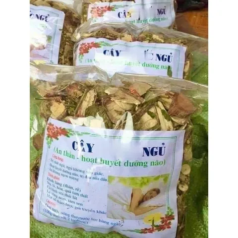 1Kg Lá nam Mất ngủ (Sao vàng hạ thổ, khô, thơm) giúp ngủ ngon sâu giấc, hoạt huyết, đau nửa đầu, ăn ngon miệng