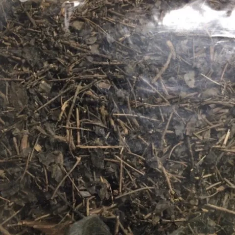 1kg cây mặt quỷ khô sạch (phơi nắng tự nhiên)