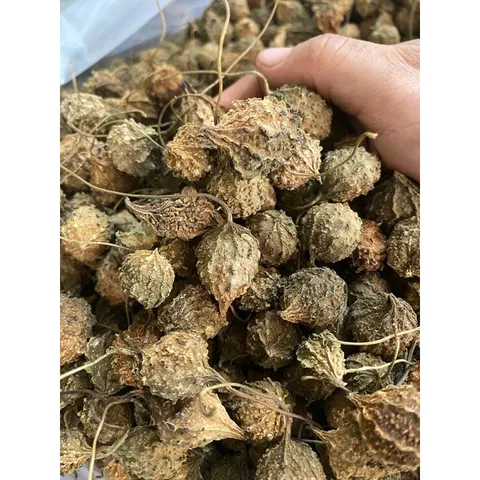 1Kg Khổ Qua (mướp đắng rừng) nguyên quả sấy khô