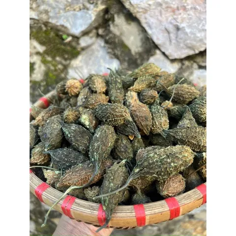 1Kg Khổ Qua (mướp đắng rừng) nguyên quả sấy khô