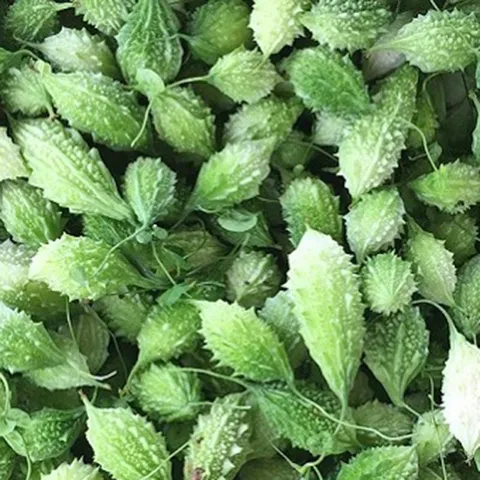 1Kg Khổ Qua (mướp đắng rừng) nguyên quả sấy khô