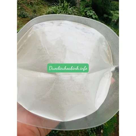 1Kg Bột Sâm Tố Nữ Khô Loại 1(đẹp da, cải thiện nội tiết tố)