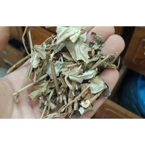 1Kg Khổ sâm hỗ trợ tiêu hóa, dạ dày, tiêu hóa kém
