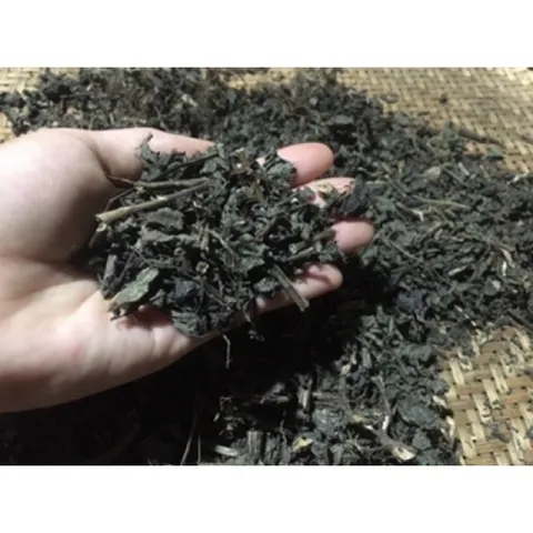 1Kg Tía tô khô thơm, mới chống viêm, dị ứng, an thần