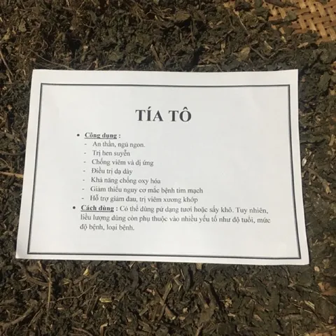 1Kg Tía tô khô thơm, mới chống viêm, dị ứng, an thần