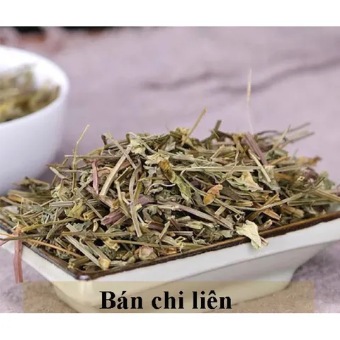 1Kg Bán Chi Liên Túi lọc Trà (Hoàng cầm râu) hỗ trợ K, U bướu