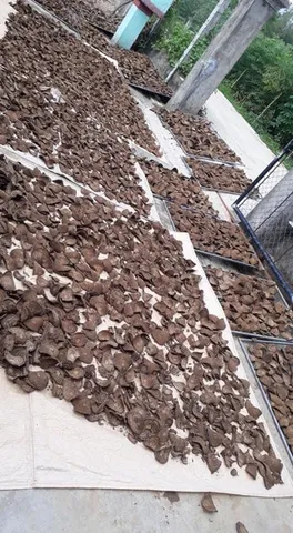 1kg Gắm Khô hỗ trợ gout, đau nhức xương khớp