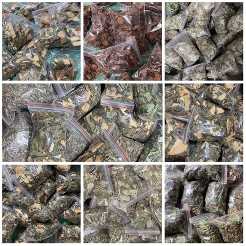 1Kg Lá nam hỗ trợ dạ dày, đại tràng, hành tá tràng (chè dây, dạ cẩm, khôi nhung, chè dung)