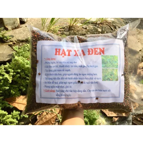 100g Hạt Giống Xạ Đen để trồng hoặc hãm trà hỗ trợ u bướu, ung thư, men gan, huyết áp