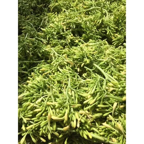 1kg Hoa Đu Đủ Đực khô vụ mới (Sao vàng hạ thổ)