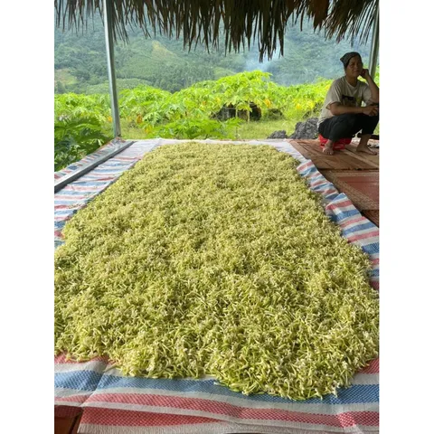 1kg Hoa Đu Đủ Đực khô vụ mới (Sao vàng hạ thổ)