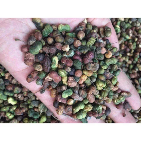 200gram nụ tam thất bắc