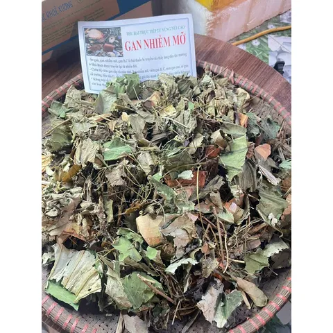 1Kg Lá nam Gan nhiễm mỡ hỗ trợ mát gan, viêm gan, thanh nhiệt