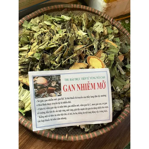 1Kg Lá nam Gan nhiễm mỡ hỗ trợ mát gan, viêm gan, thanh nhiệt