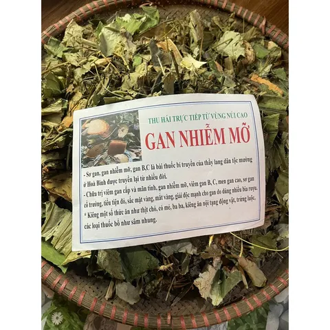 1Kg Lá nam Gan nhiễm mỡ hỗ trợ mát gan, viêm gan, thanh nhiệt