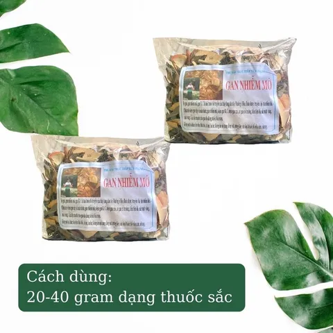 1Kg Lá nam Gan nhiễm mỡ hỗ trợ mát gan, viêm gan, thanh nhiệt