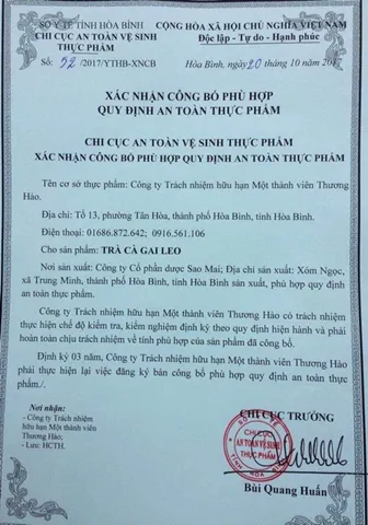 Trà túi lọc cà gai leo Hoà Bình 40 gói/hộp - có chứng nhận ATPVSTP