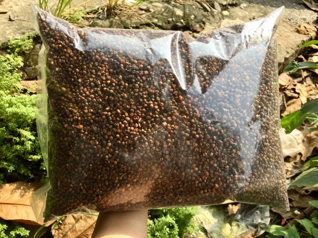 1Kg Hạt Xạ đen Hoà Bình loại đẹp (Sao vàng hạ thổ, vụ mới khô thơm) giải nhiệt, ngủ ngon, hỗ trợ K - U - Bư/ớu
