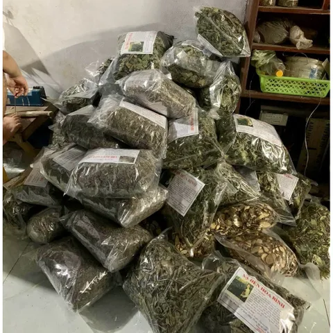 Combo 10Kg Xạ Đen Hoà Bình (Sao Vàng Hạ Thổ) Cả Thân Và Lá, Chuẩn Bản Mường Vụ Mới Khô Thơm, Giúp Dễ Ngủ, Thanh Nhiệt