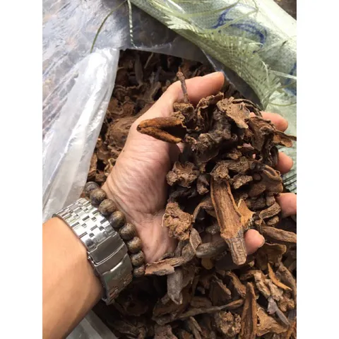 1Kg Nấm Ngọc Cẩu Khô Tự Nhiên – Thảo Dược Rừng Tây Bắc, Dùng Ngâm Tửu, Bồi Bổ Cơ Thể Nam Giới